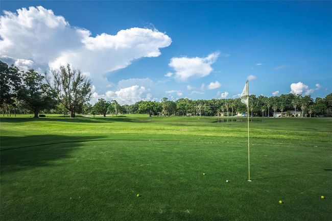Dunedin Golf Course | Image 72
