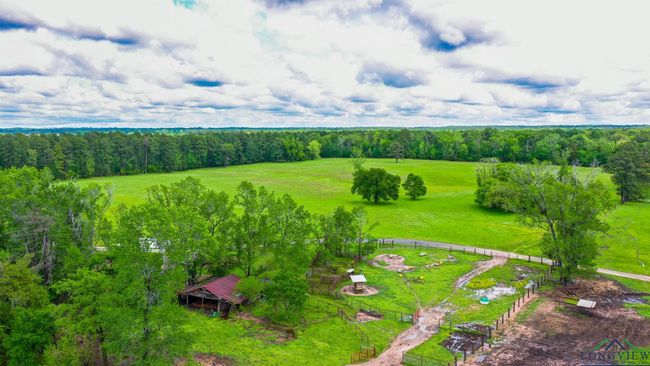 000 Fm 1794 E, Home with 0 bedrooms, 0 bathrooms and null parking in De Berry TX | Image 12