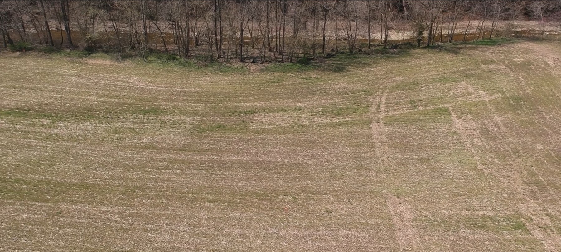 Land in Westmoreland 2