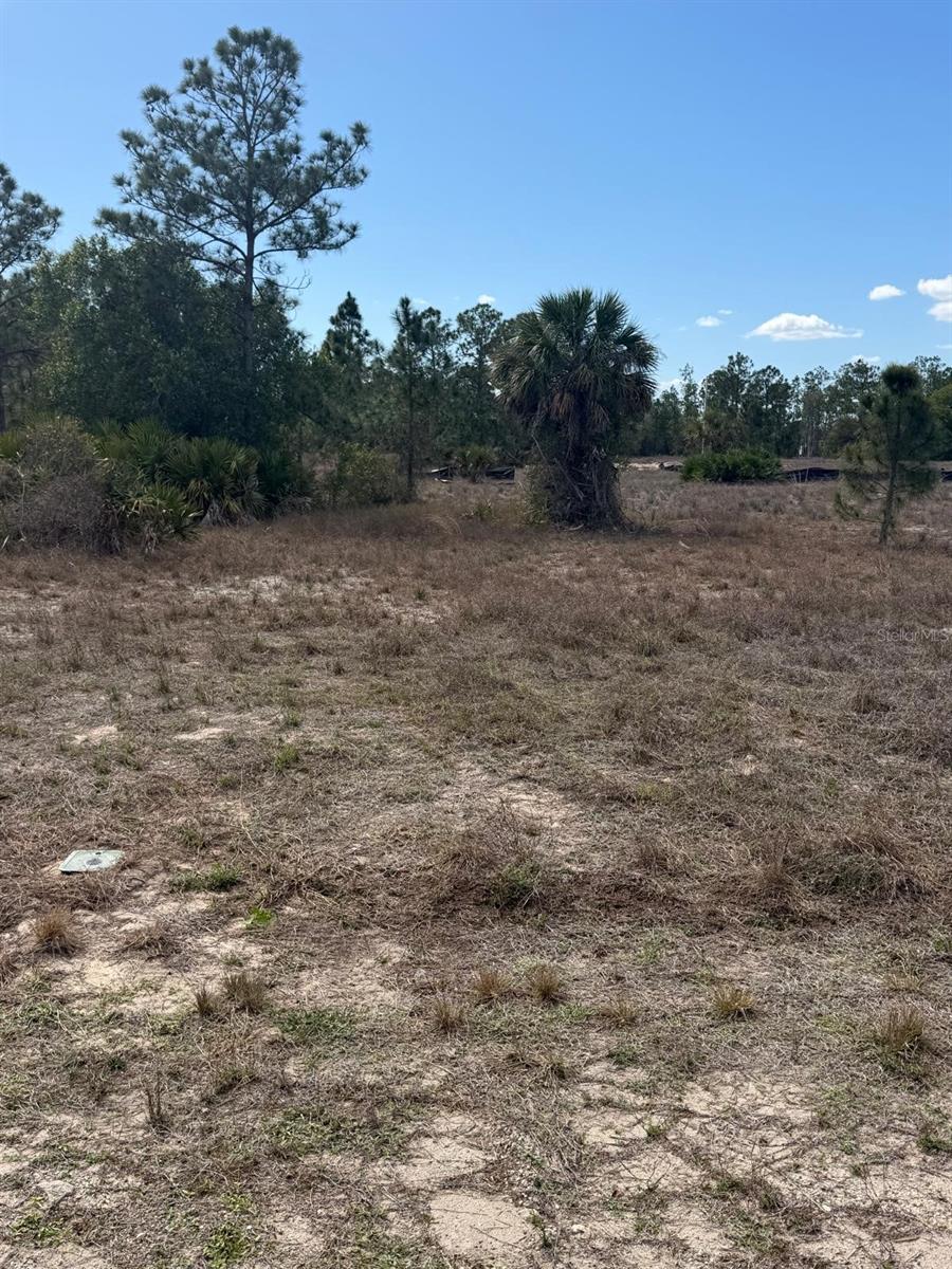 Land in LEHIGH ACRES 2