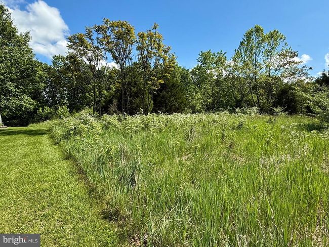 241 Naomi Ln, Home with 0 bedrooms, 0 bathrooms and null parking in Kearneysville WV | Image 10