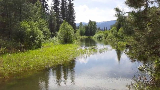 7385 Mt Highway 83, Condo with 2 bedrooms, 1 bathrooms and null parking in Condon MT | Image 28