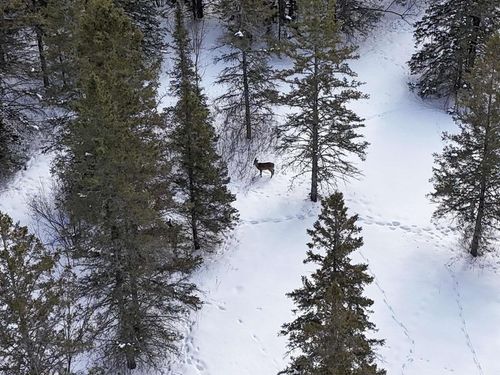 89.85 Acres S Pellman Lp, Maple, WI, 54854 | Card Image