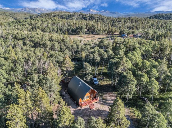 Bird's eye view of a forest and a mountain backdrop | Image 24