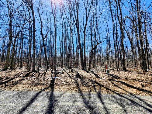 V/L 437 Crossbow Drive, Star Township, MI, 49730 | Card Image