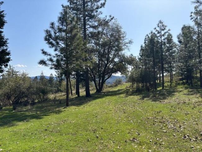 19292 Shawnee Trl, Home with 0 bedrooms, 0 bathrooms and null parking in Mokelumne Hill CA | Image 18