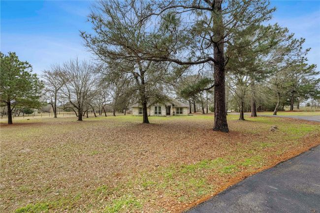 View of yard | Image 30