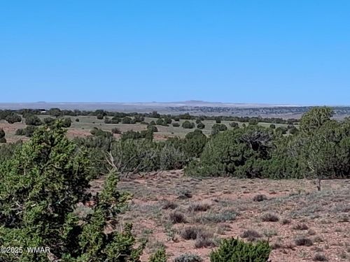 268 N 5380, Concho, AZ, 85924 | Card Image