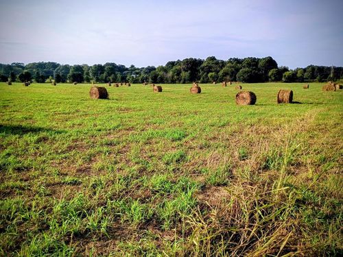 00 Highway 411 N, Crandall, GA, 30711 | Card Image