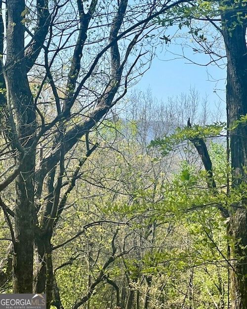 450 Turkey Ln, Dawsonville, GA, 30534 | Card Image