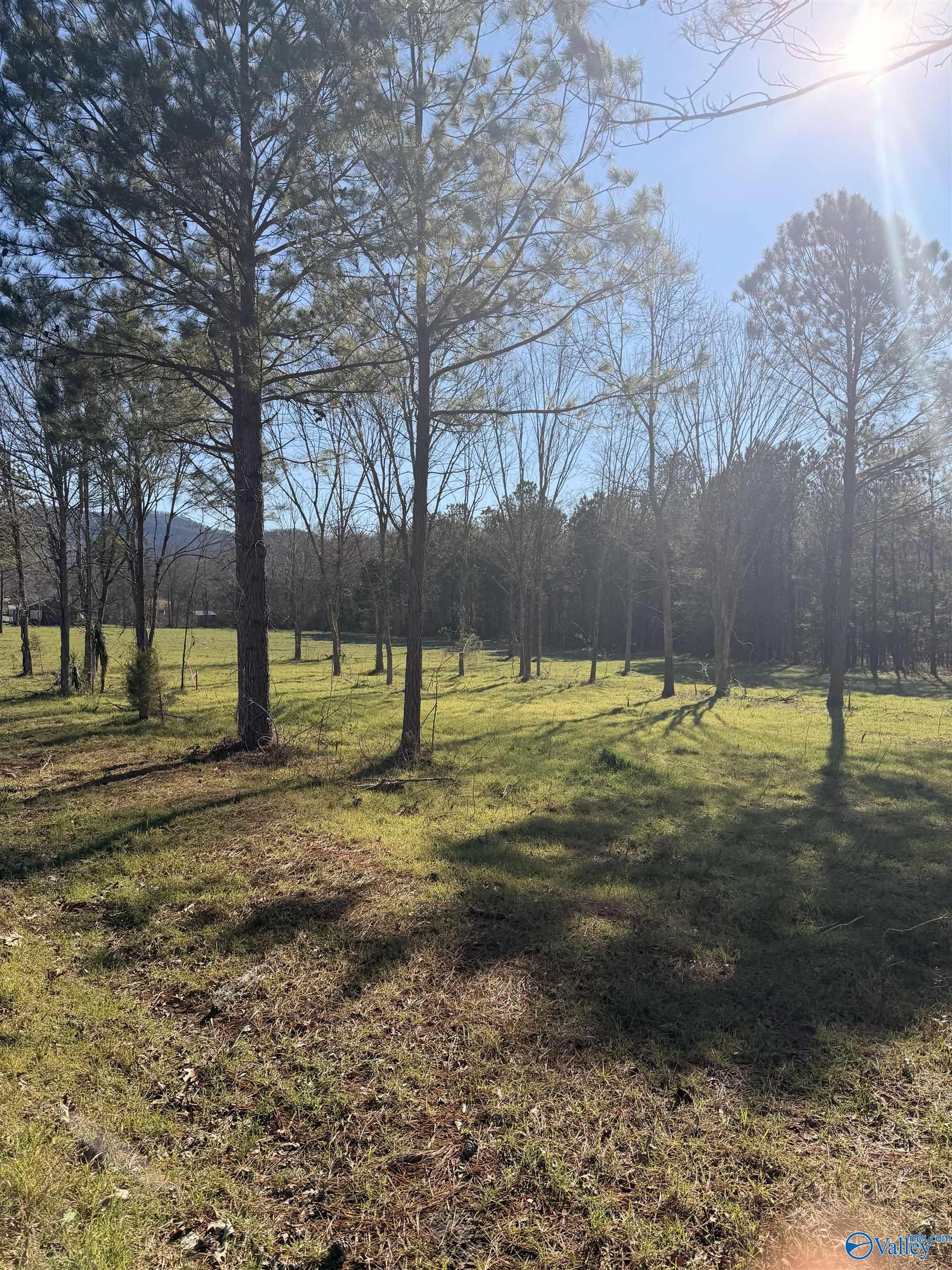 lot 62B County Road 32, Pending in Piedmont - eXp Realty