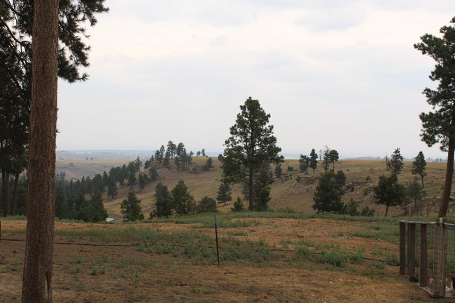 371 New Haven Rd, Home with 0 bedrooms, 0 bathrooms and null parking in Hulett WY | Image 38