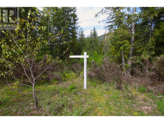 434 Lexington Ave, Home with 0 bedrooms, 0 bathrooms and null parking in Procter BC | Image 35