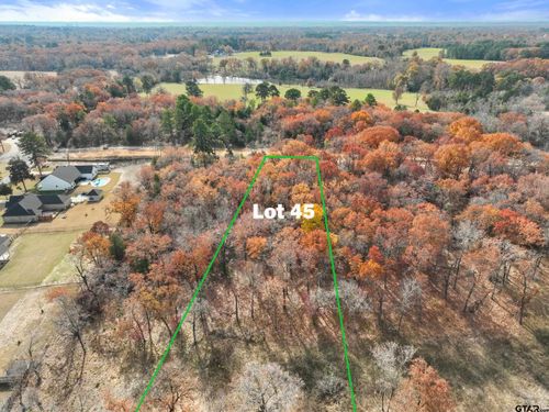 TBD Tbd Pr 6305 Lot 45, Mineola, TX, 75773 | Card Image