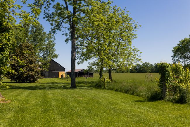 Outbuildings | Image 44