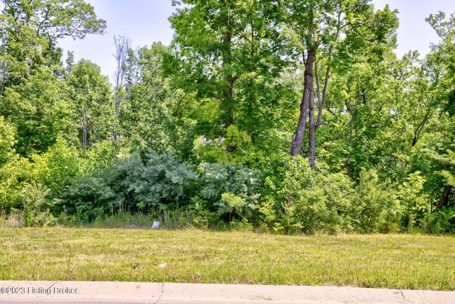 LOT-73 - 0 Hidden Falls Dr, Home with 0 bedrooms, 0 bathrooms and null parking in Mount Washington KY | Image 4