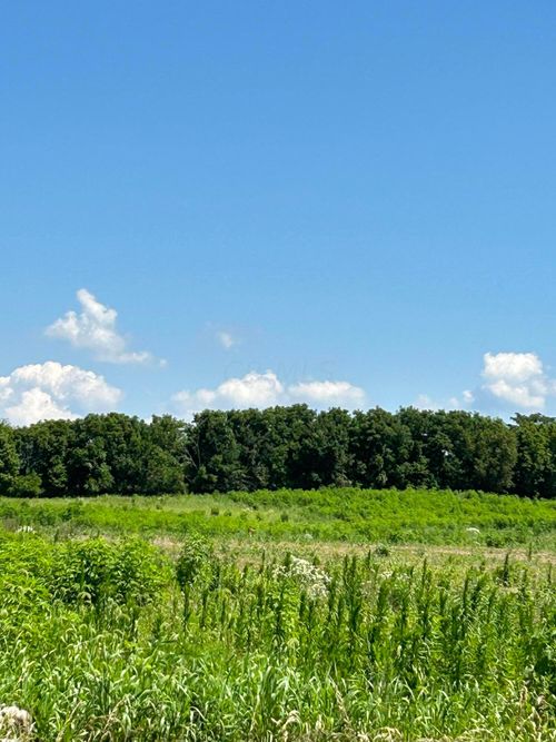 lot-3-0 Dingess Rd, Circleville, OH, 43113 | Card Image