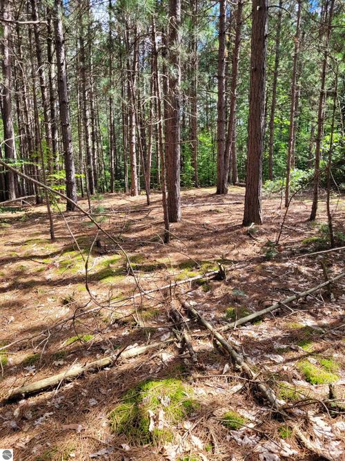 00 N Lakola Rd, Leroy, MI, 49655 | Card Image