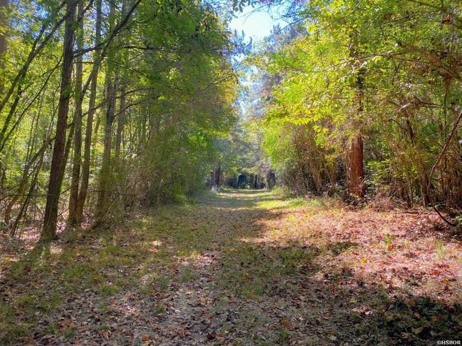 000 Dallas 273 Rd, Home with 0 bedrooms, 0 bathrooms and null parking in Sparkman AR | Image 12