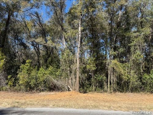 3667 E Orchid St, HERNANDO, FL, 34442-3858 | Card Image