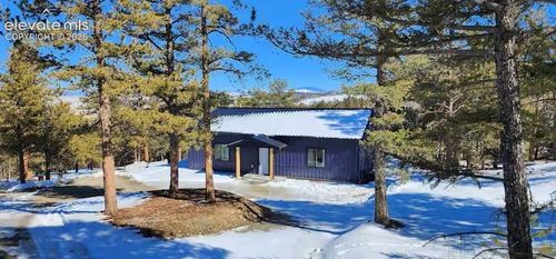 1173 Bellows Rd, Hartsel, CO, 80449-8565 | Card Image