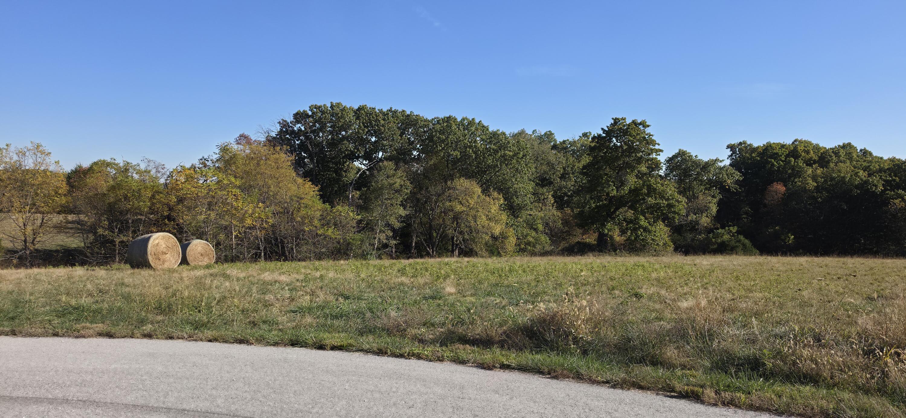 Land in Nixa