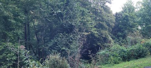 0 Chatuge Village Dr, Hayesville, NC, 28904 | Card Image