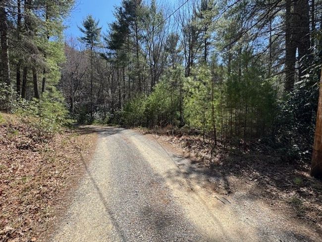 0 Buck Hollow Trl, Home with 0 bedrooms, 0 bathrooms and null parking in Sugar Grove VA | Image 5