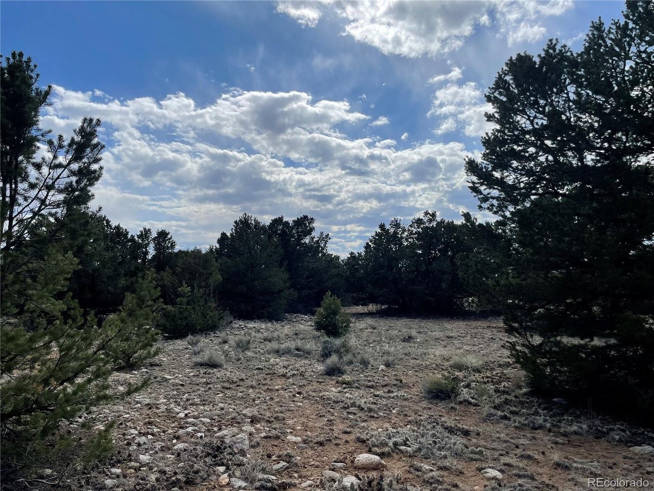 Land in Crestone 3