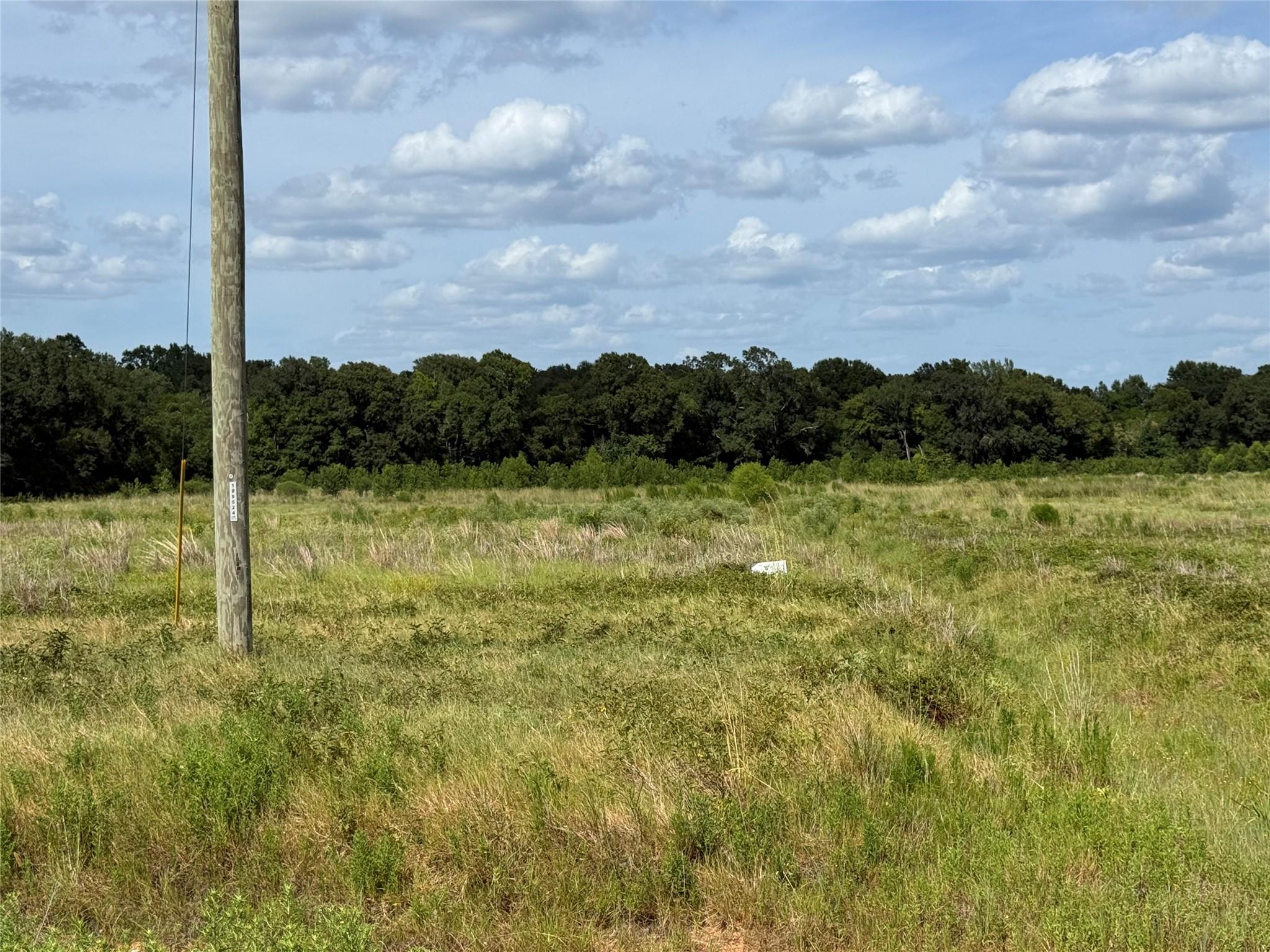 Land in Crockett 2