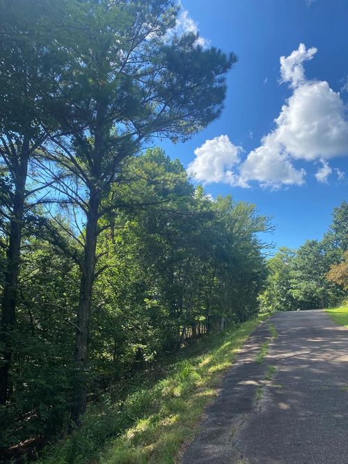 LOT 112 Natalie Cv, Blairsville, GA, 30512 | Card Image