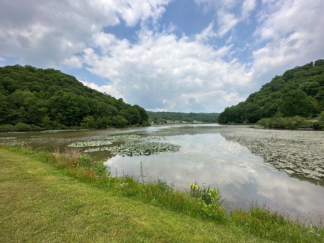 14224 Mud Fork Road, Home with 0 bedrooms, 0 bathrooms and null parking in Falls Mills VA | Image 6
