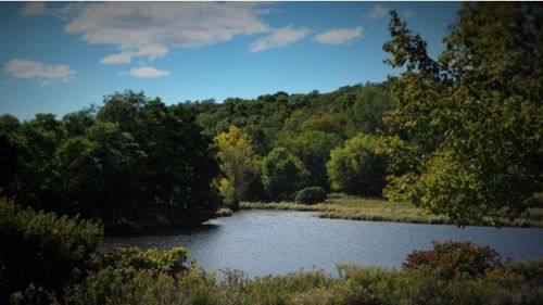 W16393 Crane Lake Lane, SILVER CLIFF, WI, 54104 | Card Image