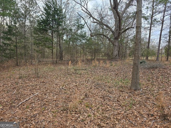 0 Willow St, Home with 0 bedrooms, 0 bathrooms and null parking in Stephens GA | Image 11