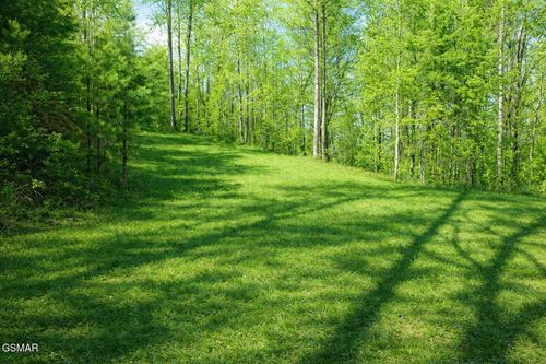 Lot 41 Black Maple Way, Del Rio, TN, 37727 | Card Image