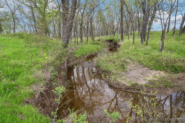 View of undeveloped land | Image 38