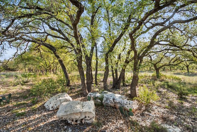 View of yard | Image 35
