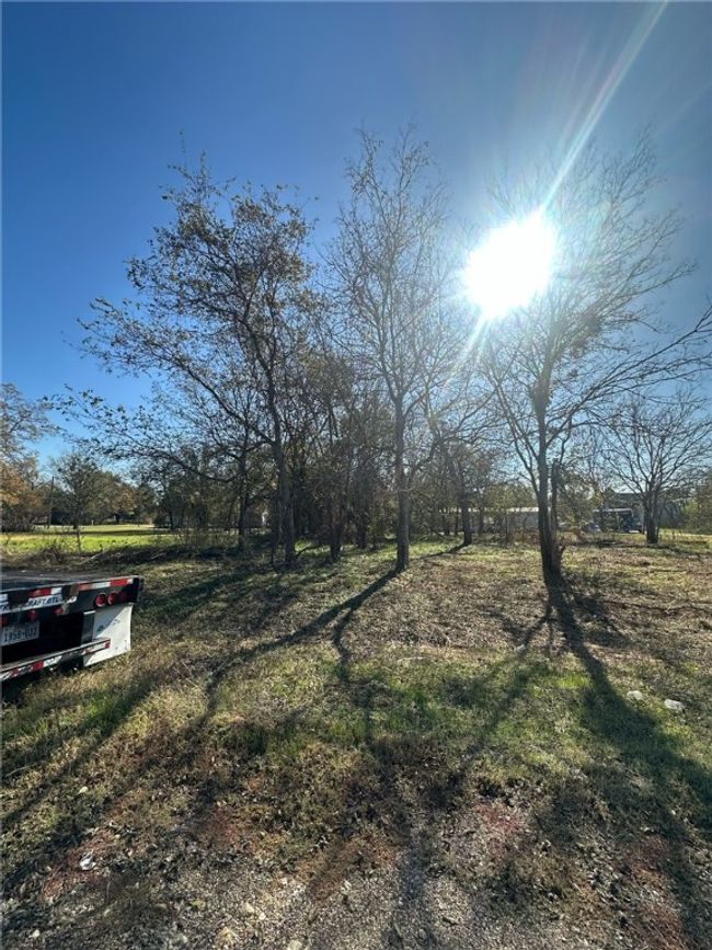 View of yard | Image 8