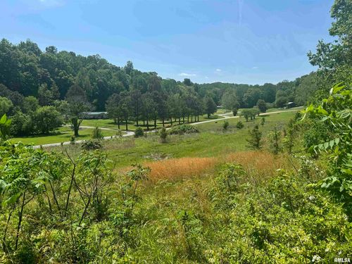 000 Pleasant Valley Ln, Tamms, IL, 62988 | Card Image