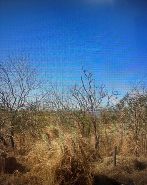 TBD Mesquite Trl, Mathis, TX, 78368 | Card Image