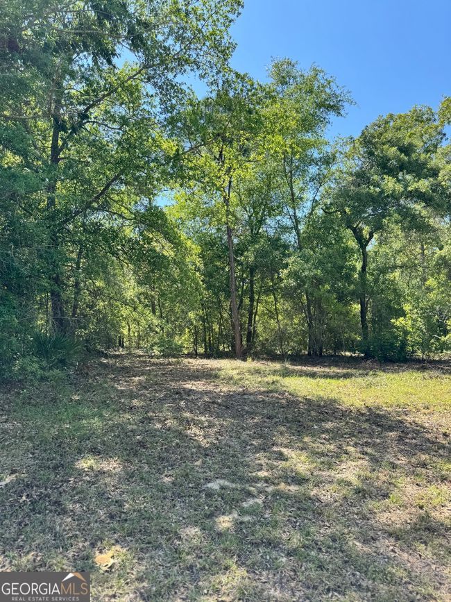 101 Ridge Dr, House other with 4 bedrooms, 5 bathrooms and null parking in Claxton GA | Image 41