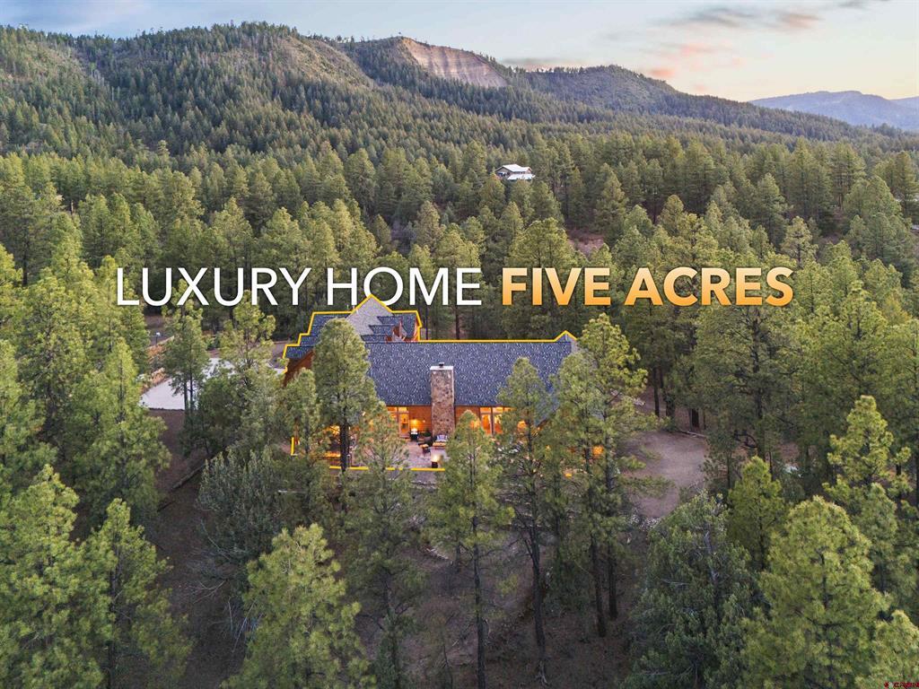 LA Tierra Ct, Pagosa Springs, CO 81147