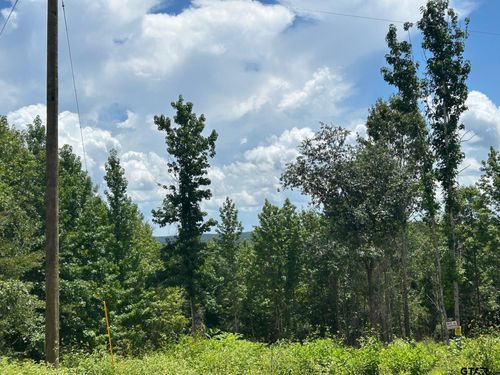 7399 County Road 378 S, Laneville, TX, 75667-5700 | Card Image