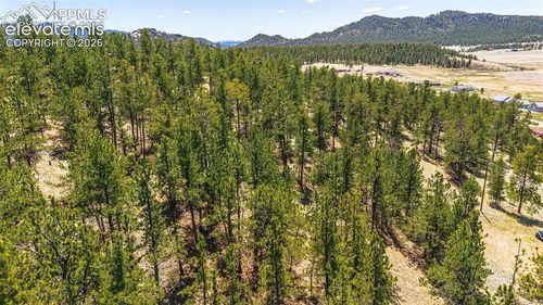 56 Dallas Park Cir, Florissant, CO, 80816-5802 | Card Image