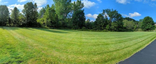 Back Yard | Image 26