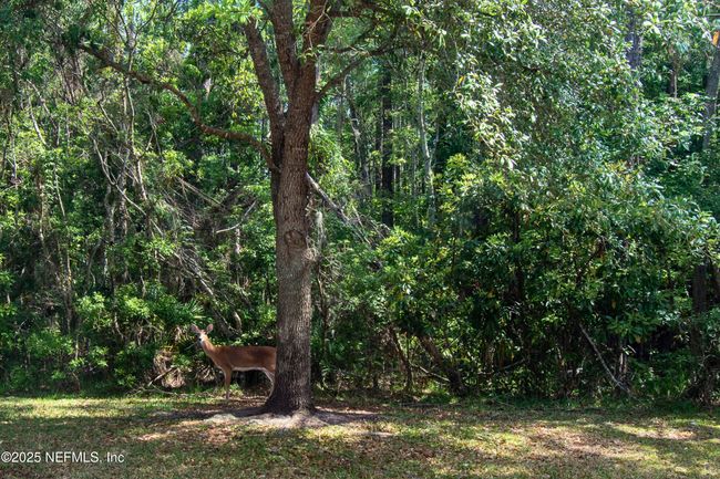 B - 1525 Vineland Cir, Townhouse with 3 bedrooms, 3 bathrooms and null parking in Fleming Island FL | Image 15
