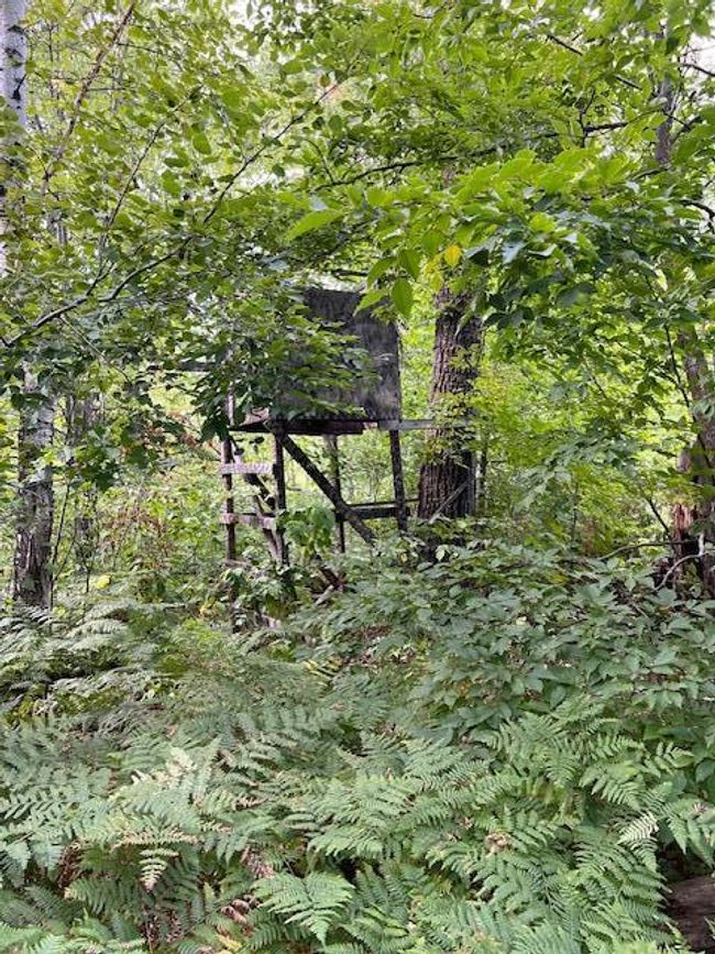 16466 220th Street McGrath deer stand 1.jpg | Image 29