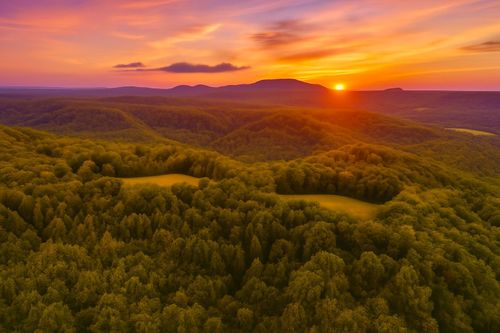 2663 Clear Fork Rd, Liberty, TN, 37095 | Card Image