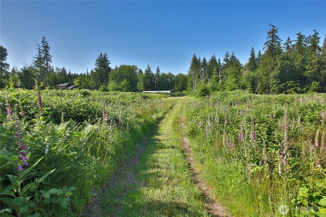 2062 Goodell Rd, Home with 0 bedrooms, 0 bathrooms and null parking in Freeland WA | Image 11