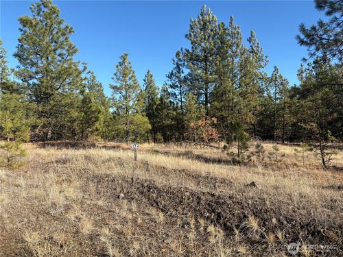 lot-2-35450 Prairie Ln N, Creston, WA, 99117 | Card Image